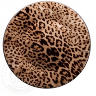 01_jaguar-charger