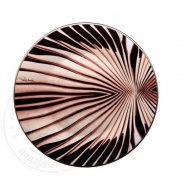 01_tigress-charger_589421879