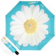 7006-ocp_giant_daisy_lightblue