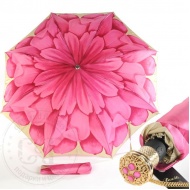 auto-rosa_lux_1
