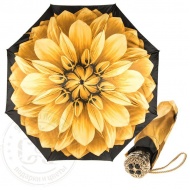 auto_georgin_giallo_lux