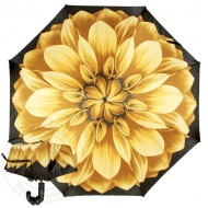 auto_georgin_giallo_pelle