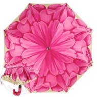 auto_georgin_rosa_pelle