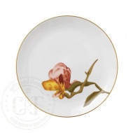 magnolia27-flora_412670274