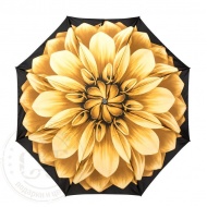 mini_georgin_giallo