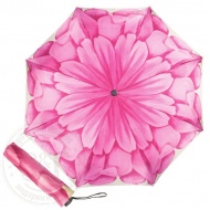mini_georgin_rosa