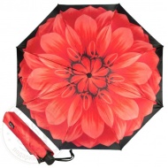 mini_georgin_rosso