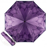mini_georgin_viola_297077541