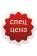 Спеццена